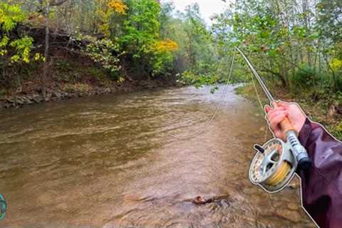 Fly Fishing High Water for BIG Brown Trout!