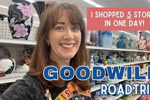 I Shopped 5 Goodwill Stores! | Thrift with Me | Vintage Haul