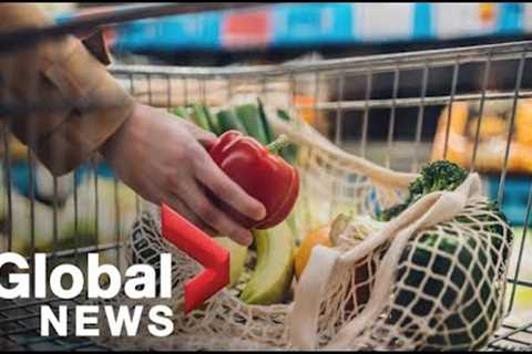 New fears Russia-Ukraine war could bring global food shortages