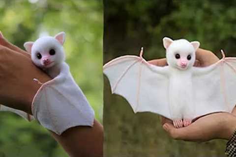 9 Cutest Exotic Pets In The World