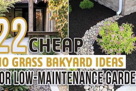 22 Cheap No Grass Backyard Ideas For Low-Maintenance Garden