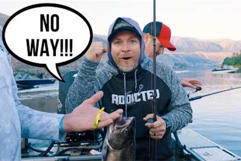 Desert SALMON Fishing &amp; Sockeye Salmon Catch &amp; Cook With Riverside Guide Service