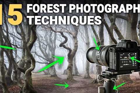 PRO FOREST PHOTOGRAPHY TECHNIQUES!