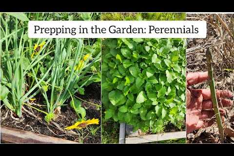 Food Storage Prepping in the Garden: Perennials