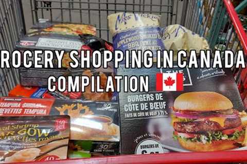 Grocery Shopping Compilation in Canada 🛒Summary of realistic grocery shopping.