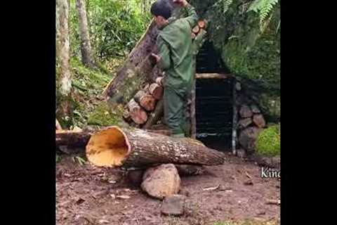 digging mountains to build camping#survival# wildlife #animal #nature#health