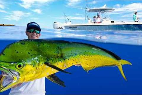 FILLED Dream Boat with PRIZED Deep Sea Fish! Catch Clean Cook (Mahi Mahi)