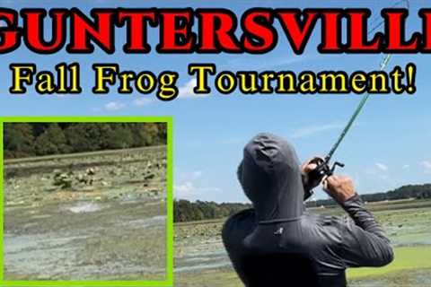 Fall Bass Fishing; GUNTERSVILLE Frog Tournament!!