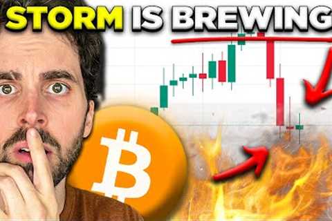 Bitcoin Hodlers - A Storm is Brewing in the Crypto Market