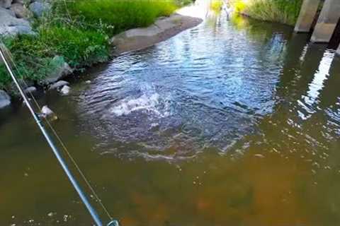 How I find my good fishing spots. Fishing tips