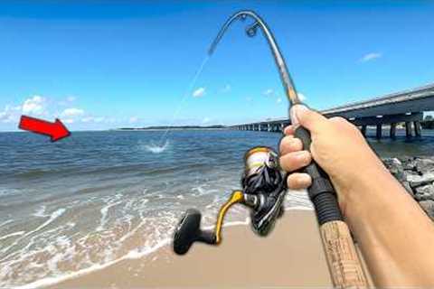 I was warned to NOT eat this fish.. but I did (Catch and Cook)