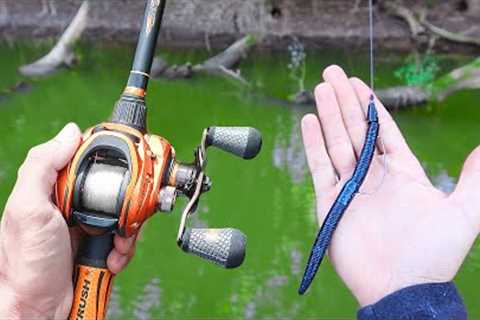 Catch 15x MORE Bass - TRY THIS! (Bass Fishing Tips)