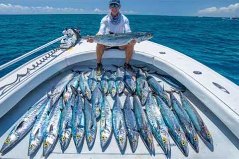 Getting PAID to Fish...TRUTH Behind Commercial Fishing! Catch Clean Cook