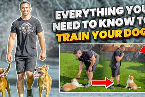 Everything You NEED To KNOW To TRAIN Your DOG!