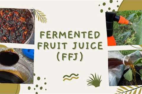 How to Make Fermented Fruit Juice (FFJ) | DIY Gardening