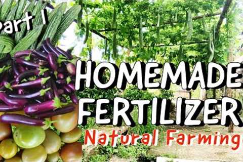 How to Make Fermented Plant Juice and Fermented Fruit Juice | Natural Liquid Fertilizers Part 1 🌸🌱