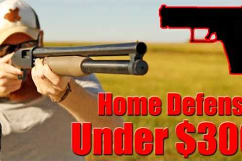 Best Home Defense Guns Under $300