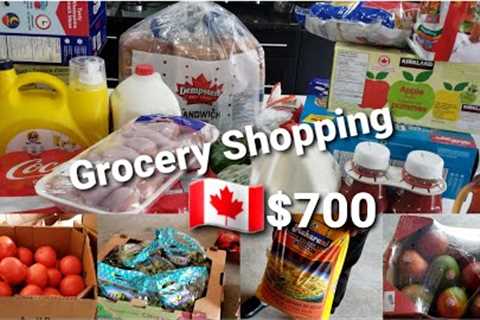 Realistic Grocery Shopping With Price | Living In Canada 🇨🇦.