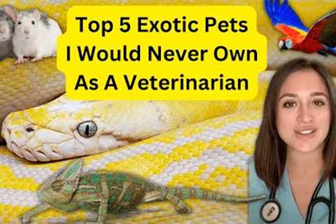 Top 5 Exotic Pets I Would NOT Get as an Exotic Animal Veterinarian