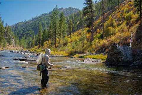 Hundreds Drive by this Blue Ribbon Trout Stream | Fly Fishing