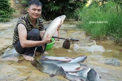 Lots of fish found after flood season. Robert | Green forest life