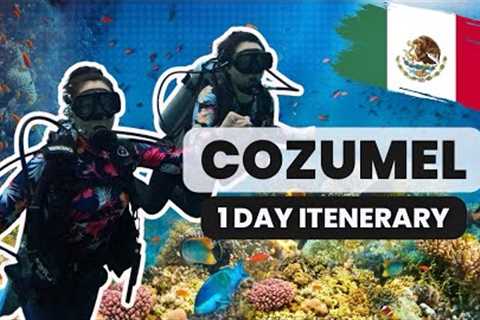 Cozumel México Day Trip | Chankanab Park Scuba Diving