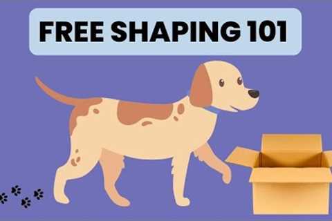 101 Things to do with a Box Dog Training | Example of Shaping in Dog Training