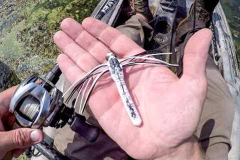 Fishing With A Dragonfly Lure!