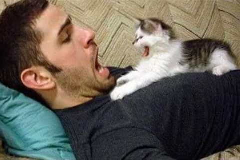 When your cat teaches you to do silly things 😂 Funny Cat and Human