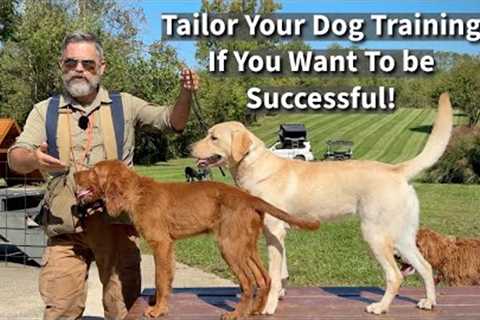 How We Tailor Our Dog &amp; Puppy Training To Help Dogs Realize Their Full Potential! | Seven..
