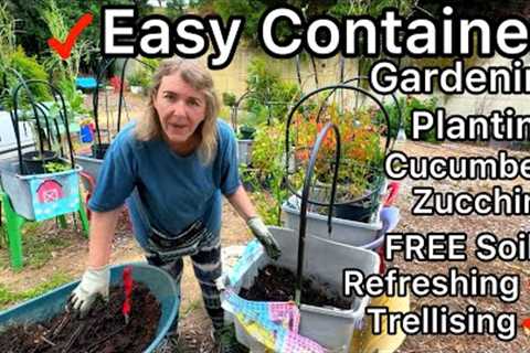 Growing Cucumbers in Container Gardening EASY Trellis, Fix Used Soil, Gardening Tips for Beginners