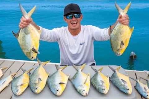 Florida's Most EXPENSIVE Fish... Catch Clean Cook (Florida Pompano)