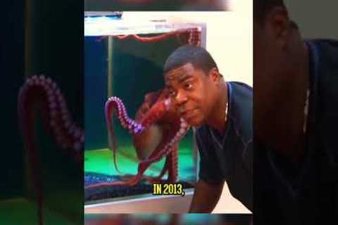 Top 4 Exotic Pets Owned By Celebrities #shorts
