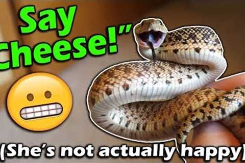 How to Read your Snake's Body Language