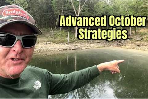 Advanced October Bass Fishing Techniques And Strategies