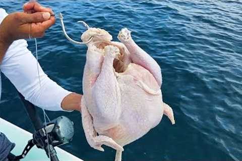 FISHING with a CHICKEN!