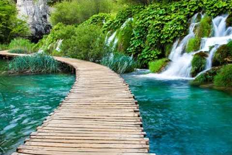 Deep Healing Music, Healing Your Nervous System, Instant Relief from Stress and Anxiety, Calm Nature