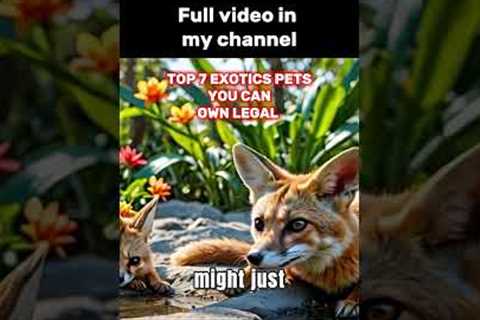 Top 7 Exotic Pets You Can Own Legally P.1