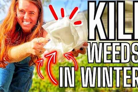 5 Fall Chores You Have NEVER Heard Of For The Garden!