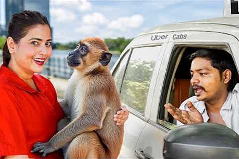 I Tested Pet Friendly Ubers with Exotic Animals !