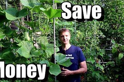 5 Money Saving Tips for Beginning Gardeners (Frugal Gardening)