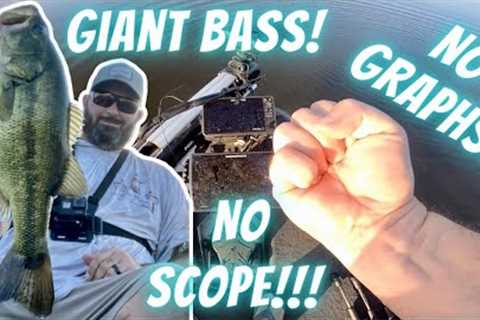 Catching Giants W/ Livescope Banned! Lake Fork Fall Bass Fishing w/ No Graphs! No Scope, No Problem!