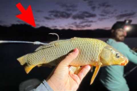 Fishing GIANT Live Baits in a Desert Lake! (They Got Eaten)