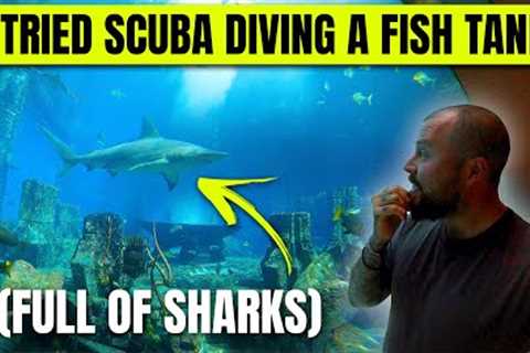 I TRIED SCUBA DIVING IN AN AQUARIUM FULL OF SHARKS!