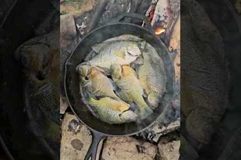 Catch and Cook Crappie and Bluegill
