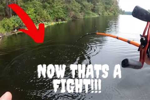 Bass FISHING at local LAKE