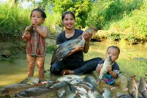 Meet giant fish, catch fish, trap fish with your children to sell at the market - cook food for pigs