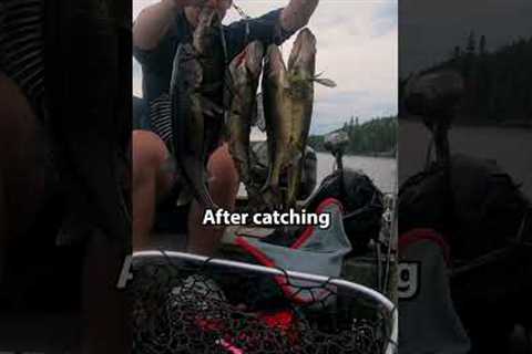 Best Eating Freshwater Fish 🎣  (Catch + Cook)