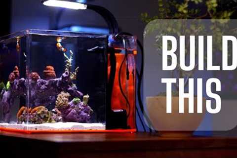 How to Set up a Saltwater Aquarium!