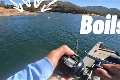 Fall time | striped bass fishing | hogan lake | 2024